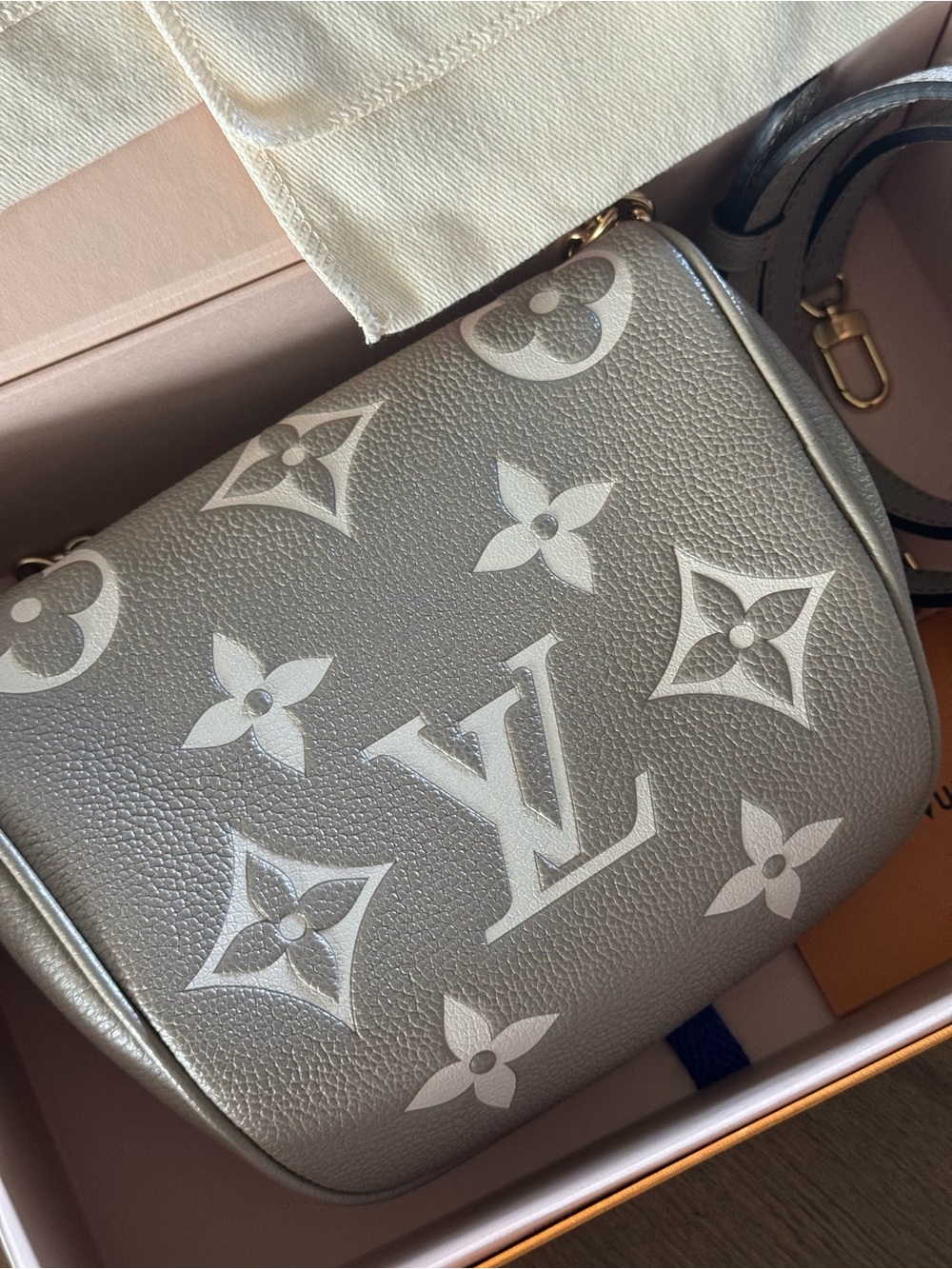 Louis Vuitton Two Tone mini bumbag - Picture 3 of 5